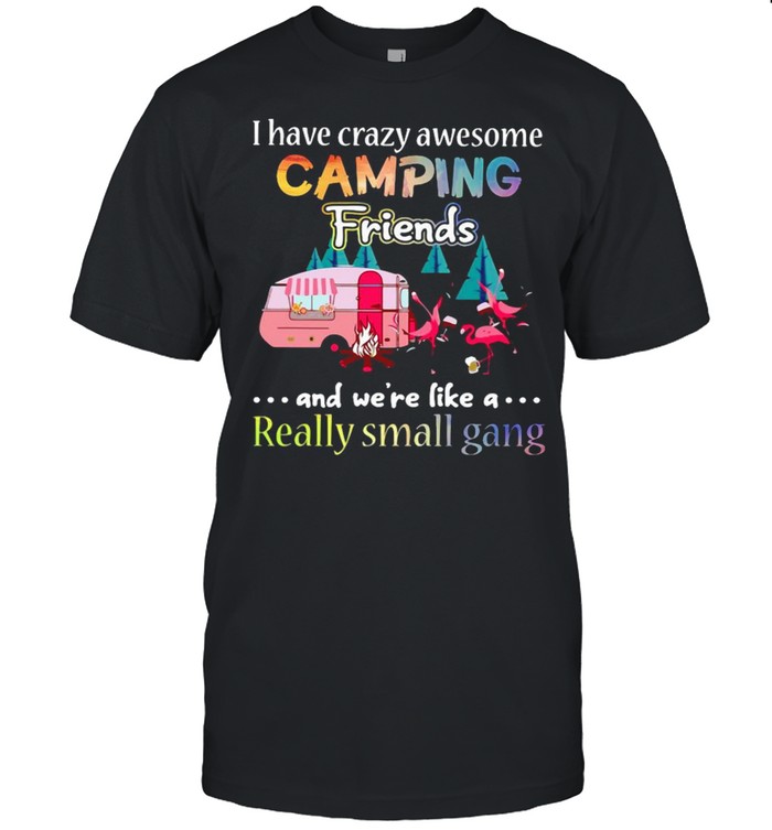 Flamingo I Have Crazy Awesome Camping Friends And We’re Like A Really Small Gang Shirt